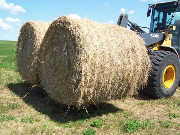 4 SPEAR PAYLOADER BALE SPEAR - Image 6