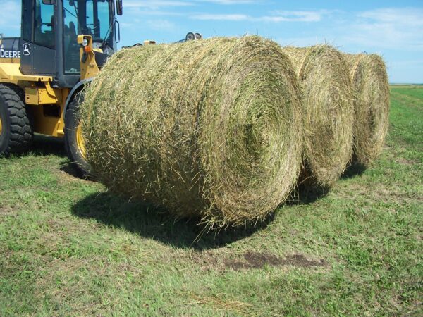 PAYLOADER TRIPLE BALE SPEAR - Image 2
